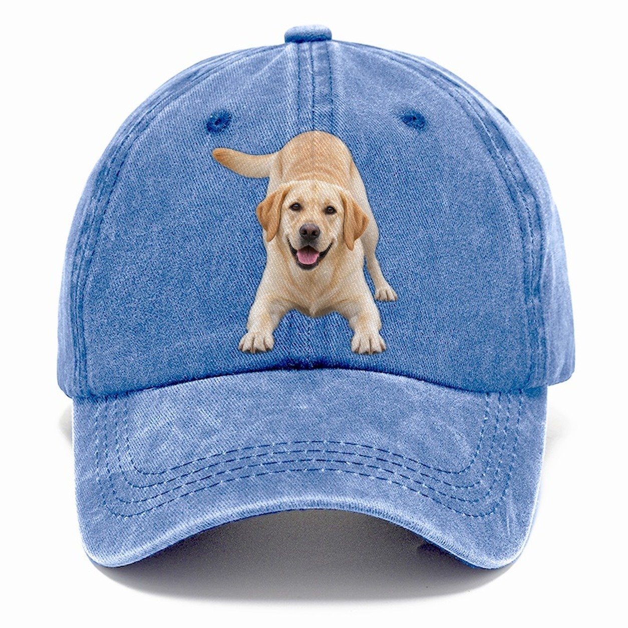 Labrador Retriever Play Bow Top Breeds Classic Cap – Summer Sky
