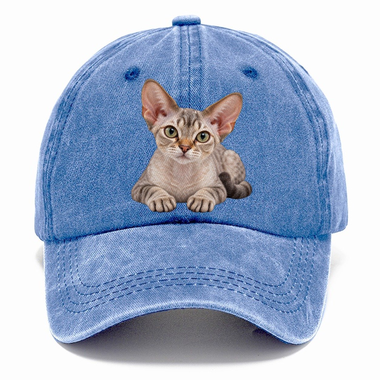Devon Rex Reclining Paws Forward Realistic Cat Portrait Classic Cap – Summer Sky