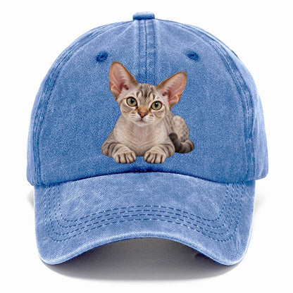 Devon Rex Reclining Paws Forward Realistic Cat Portrait Classic Cap – Summer Sky