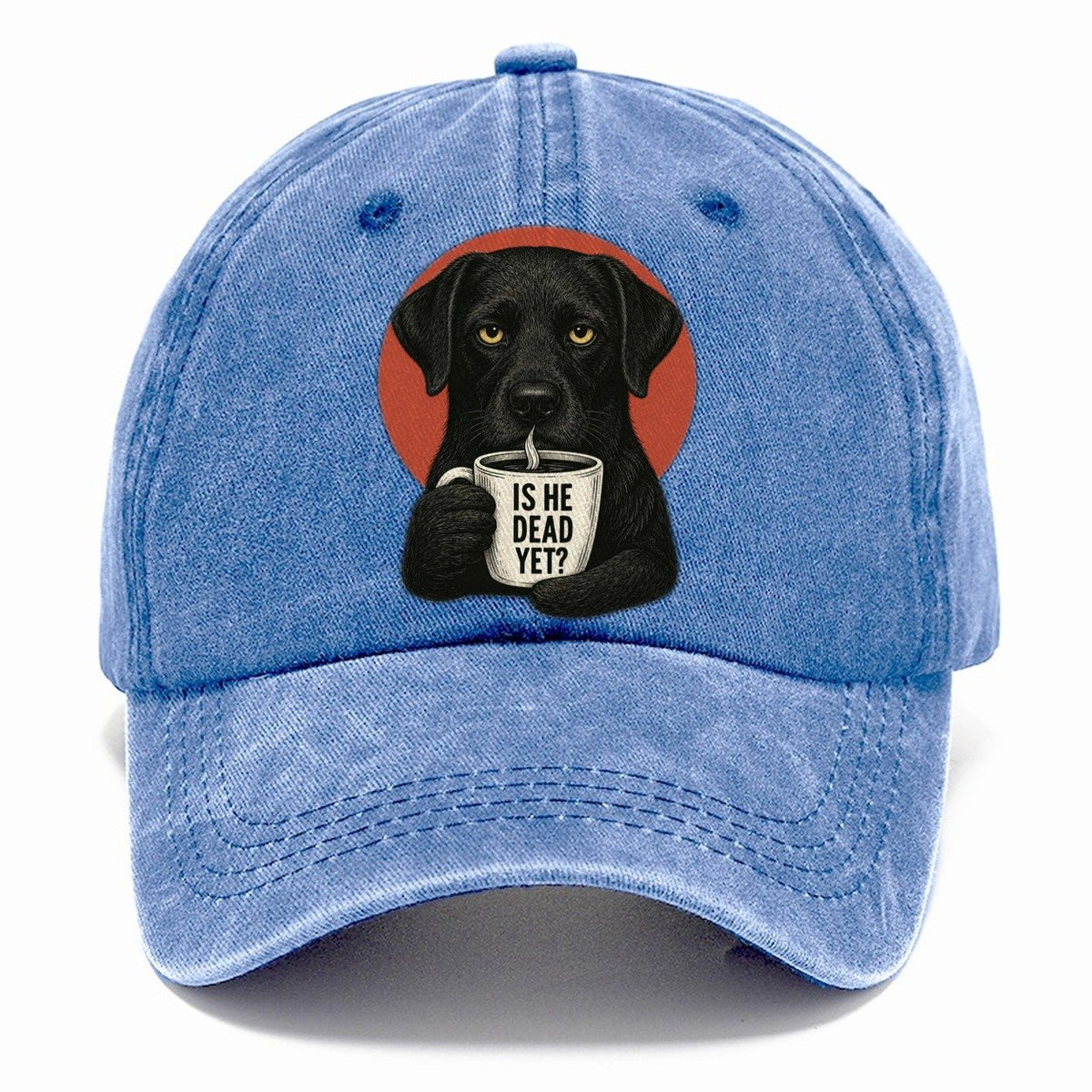 Is He Dead Yet Dog Classic Cap – Summer Sky
