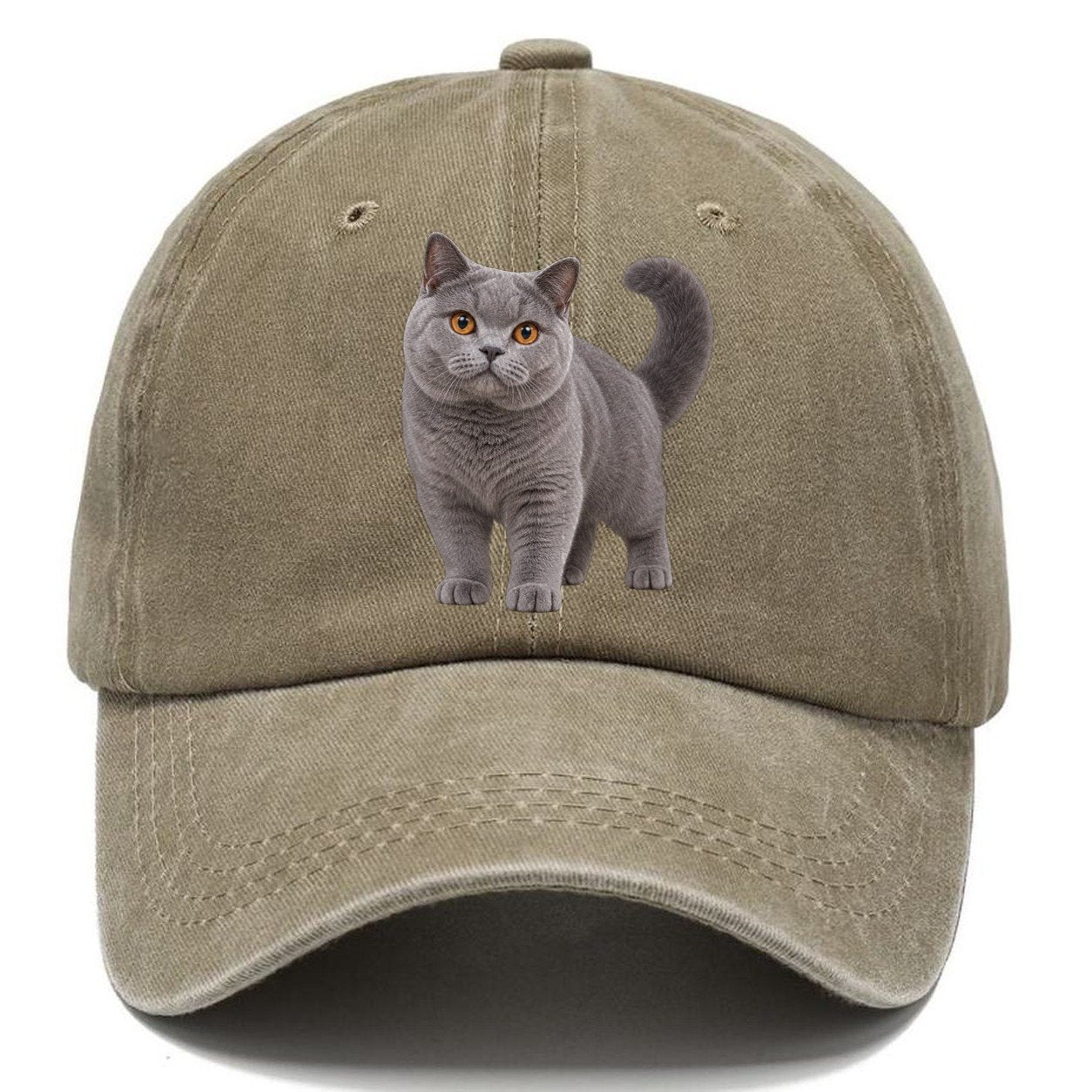 British Shorthair Standing Three Quarter Realistic Cat Portrait Classic Cap – Warm Sand