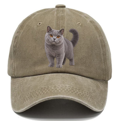 British Shorthair Standing Three Quarter Realistic Cat Portrait Classic Cap – Warm Sand
