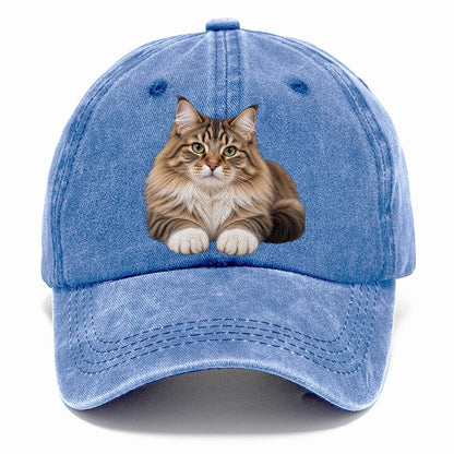 Siberian Reclining Paws Forward Realistic Cat Portrait Classic Cap – Summer Sky