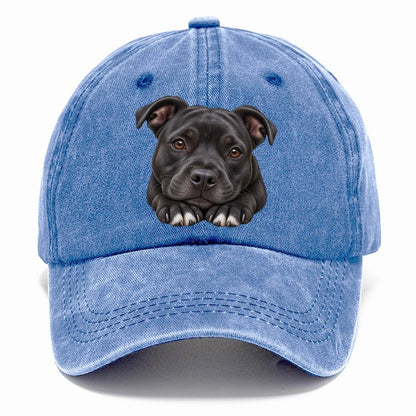 Staffy Paws Beneath Chin Pastimes Companions Classic Cap – Summer Sky