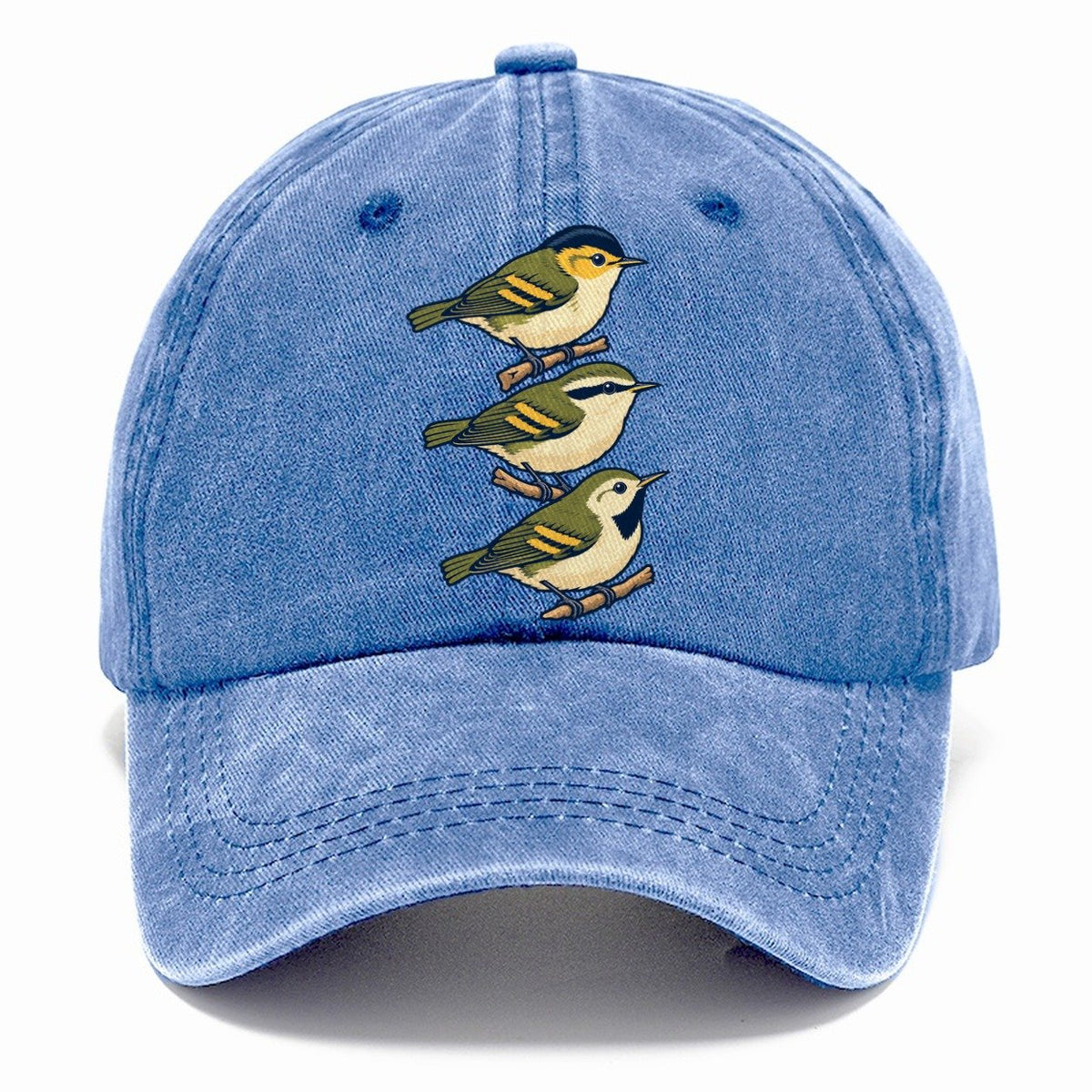 Woodland Warbler Set Birdwatching Classic Cap – Summer Sky