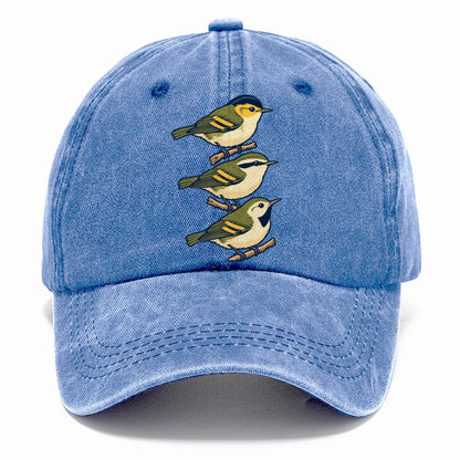 Woodland Warbler Set Birdwatching Classic Cap – Summer Sky