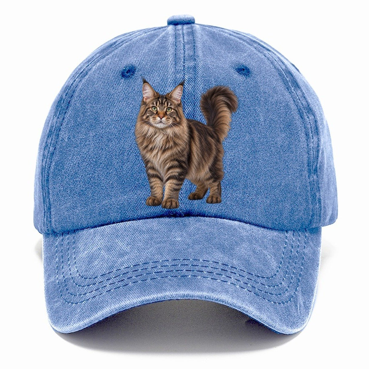 Maine Coon Standing Three Quarter Realistic Cat Portrait Classic Cap – Summer Sky