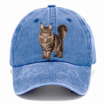 Maine Coon Standing Three Quarter Realistic Cat Portrait Classic Cap – Summer Sky