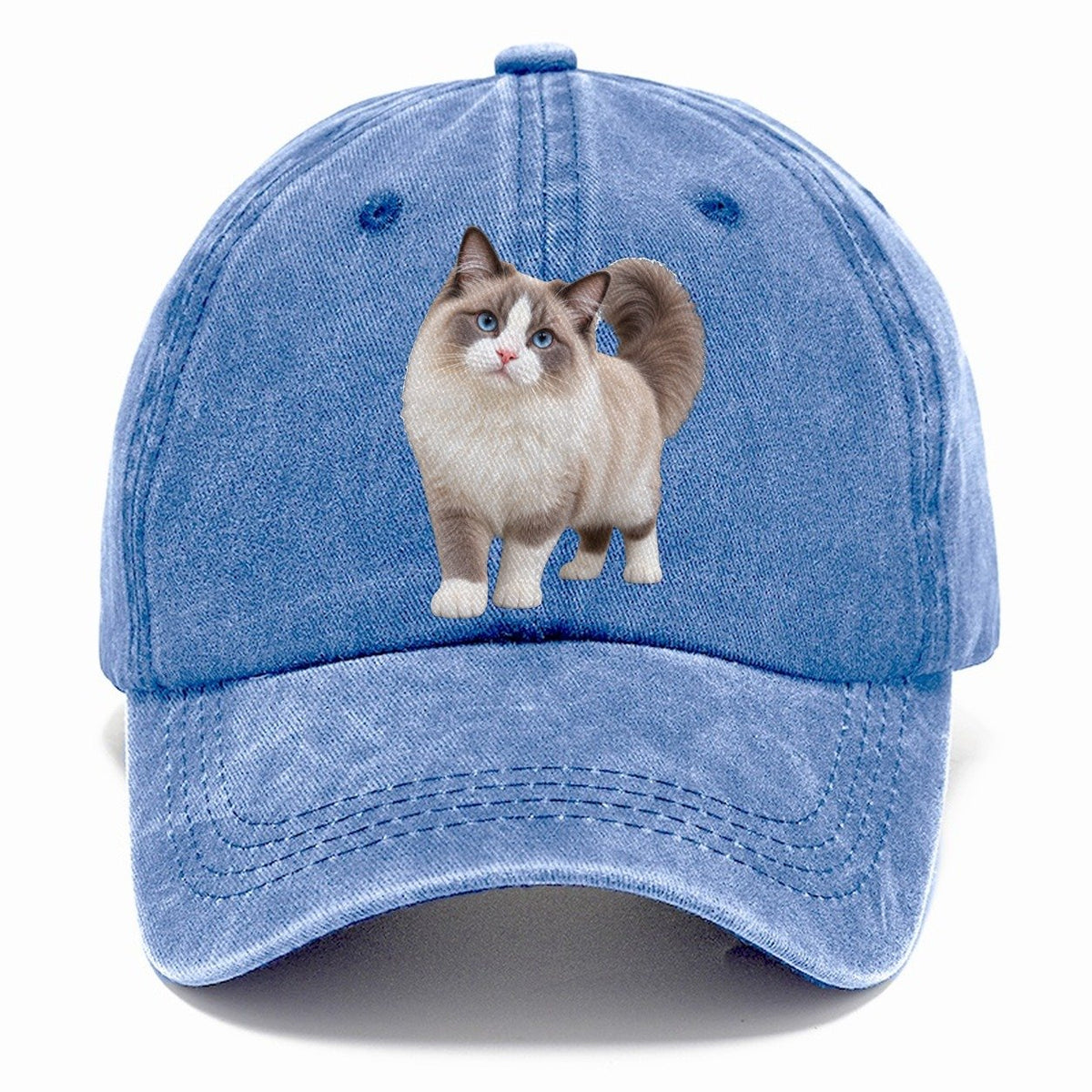 Ragdoll Standing Three Quarter Realistic Cat Portrait Classic Cap – Summer Sky