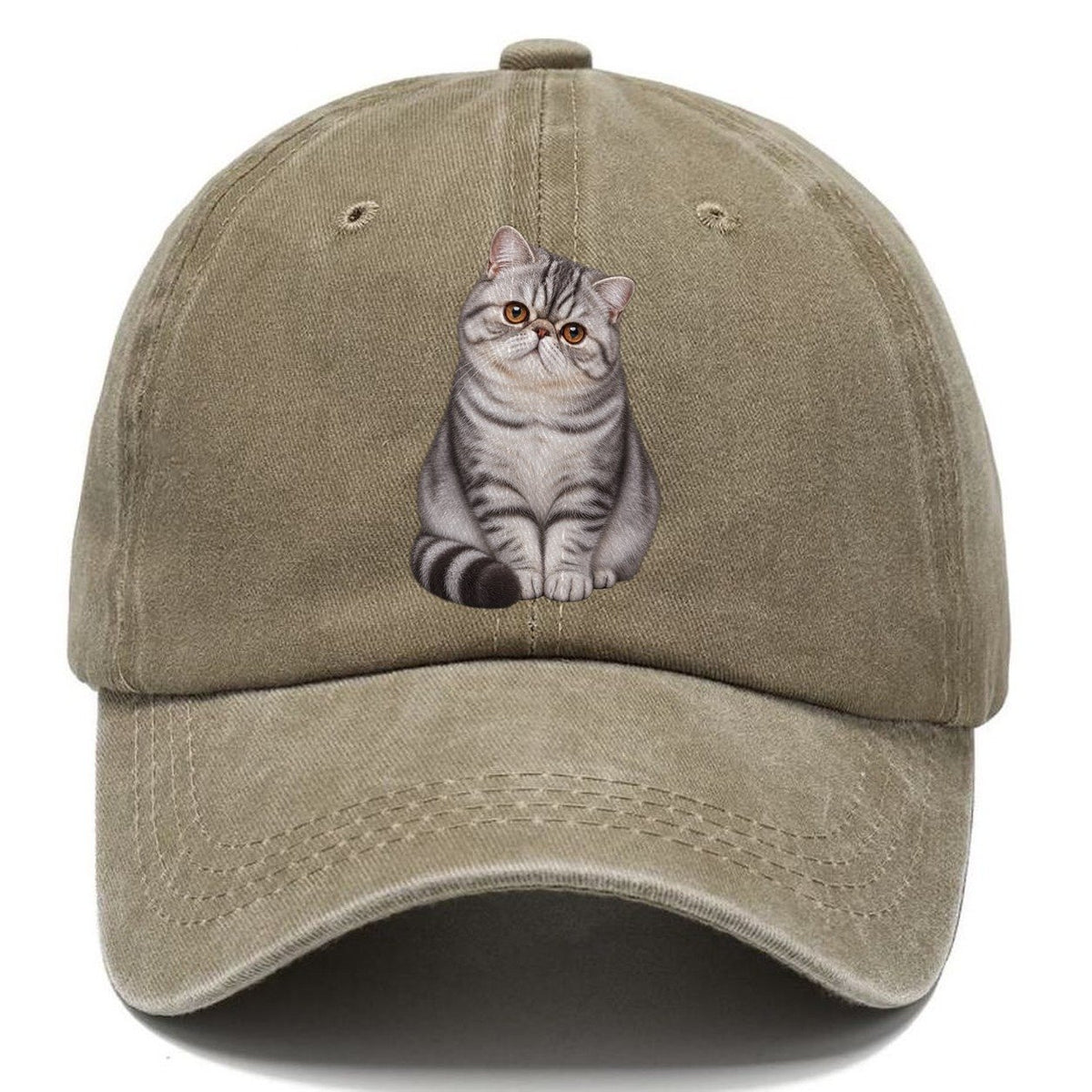 Exotic Shorthair Seated Portrait Realistic Cat Portrait Classic Cap – Warm Sand