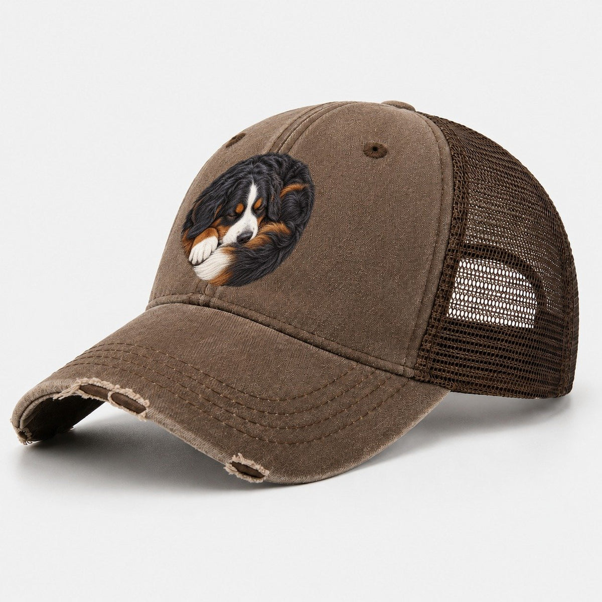 Bernese Round Hearth Nap Pastimes Companions Washed Trucker Hat – Coffee