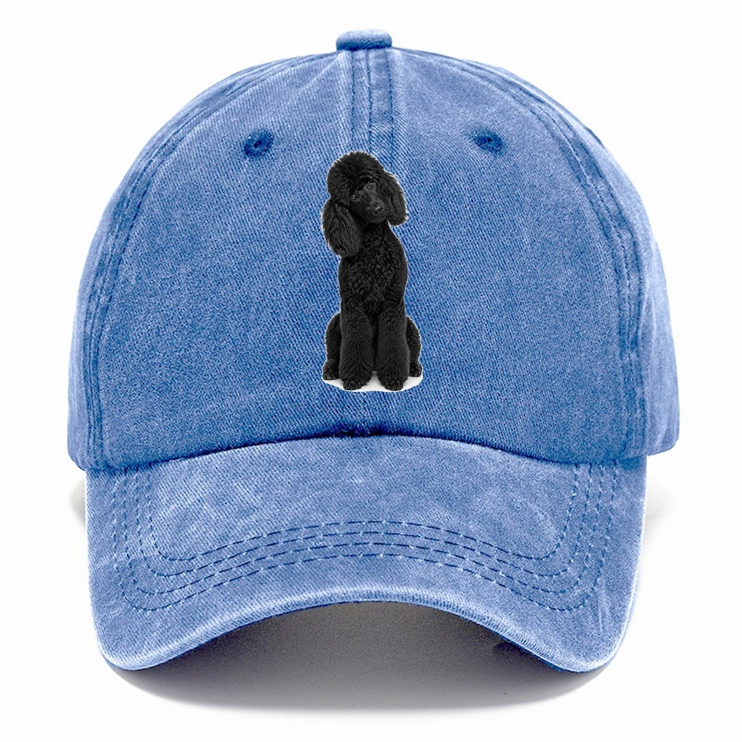 Black Poodle Classic Cap – Summer Sky