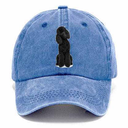 Black Poodle Classic Cap – Summer Sky