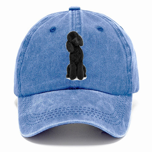 Black Poodle Classic Cap – Summer Sky