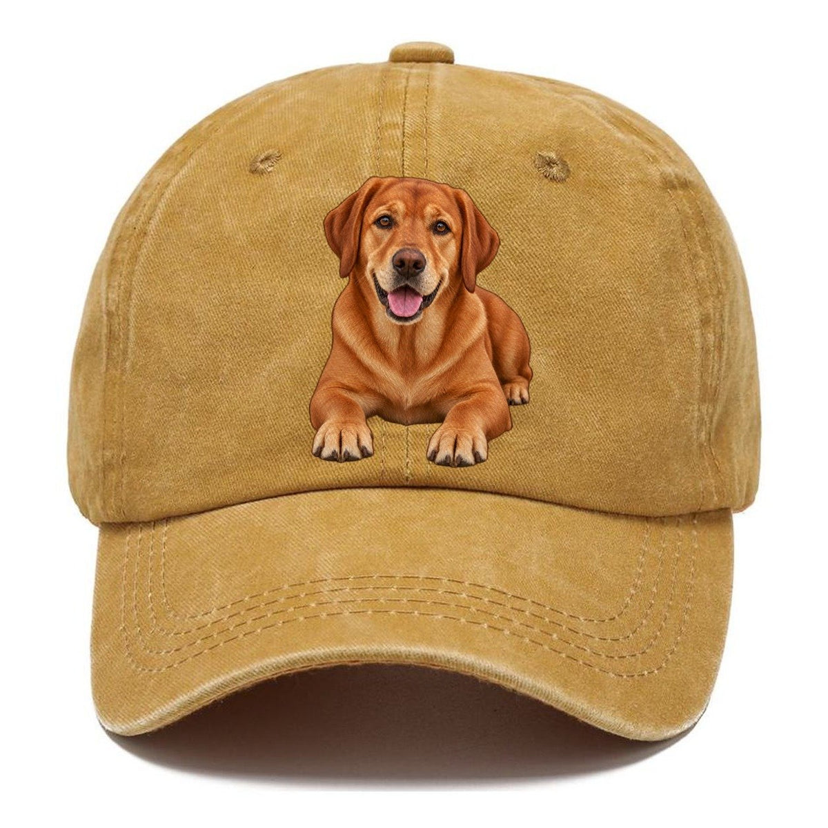 Fox Red Labrador Classic Cap – Golden Harvest