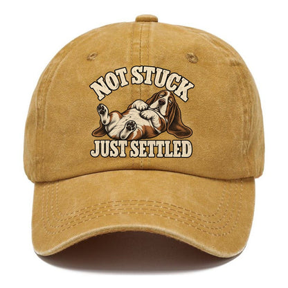 Basset Comfortably Settled Character Club Classic Cap – Golden Harvest