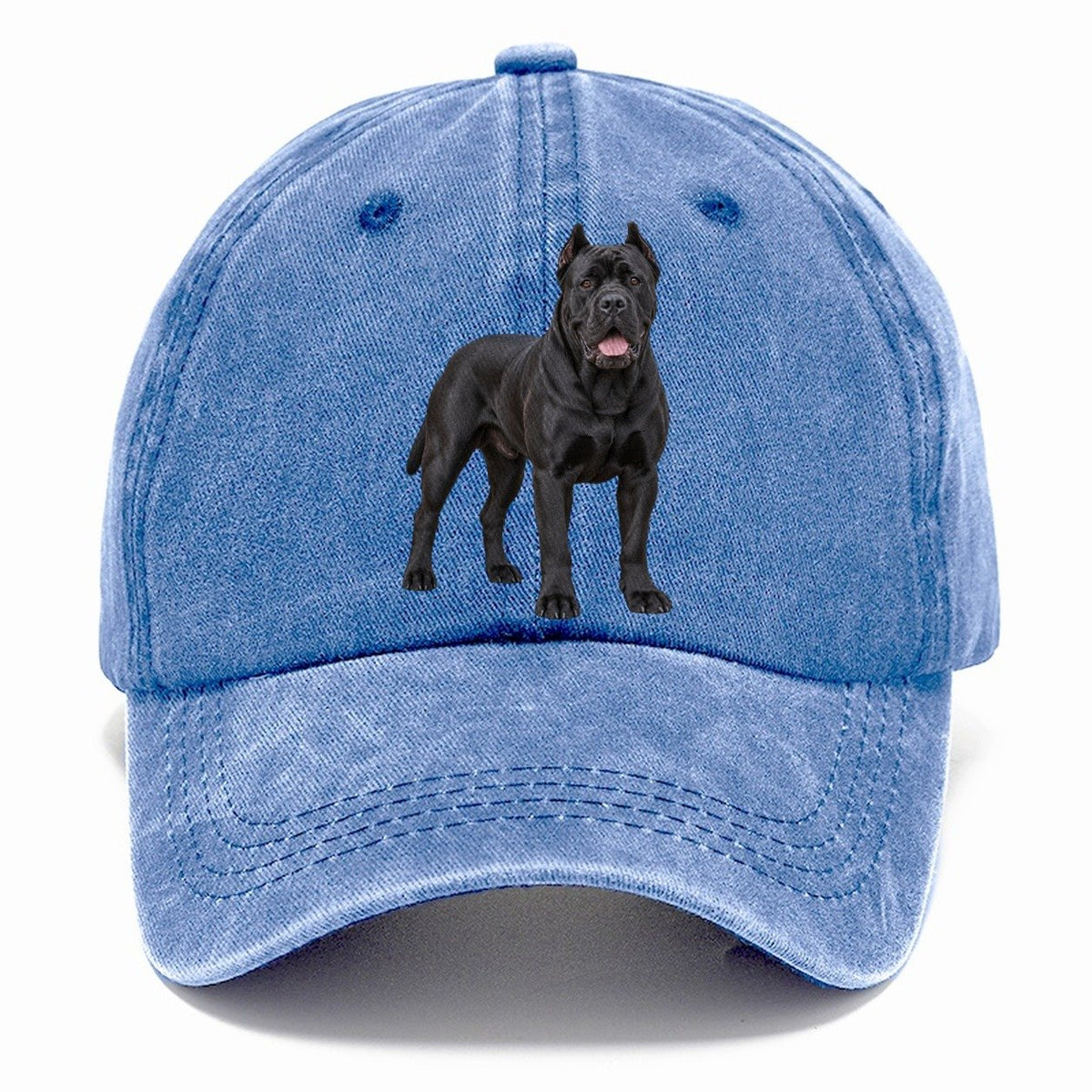 Cane Corso Standing Top Breeds Classic Cap – Summer Sky