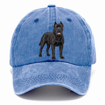 Cane Corso Standing Top Breeds Classic Cap – Summer Sky