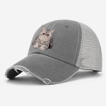 Exotic Shorthair Reclining Paws Forward Realistic Cat Portrait Washed Trucker Hat – Grey