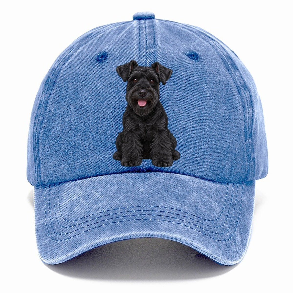 Black Miniature Schnauzer Classic Cap – Summer Sky