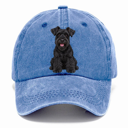 Black Miniature Schnauzer Classic Cap – Summer Sky