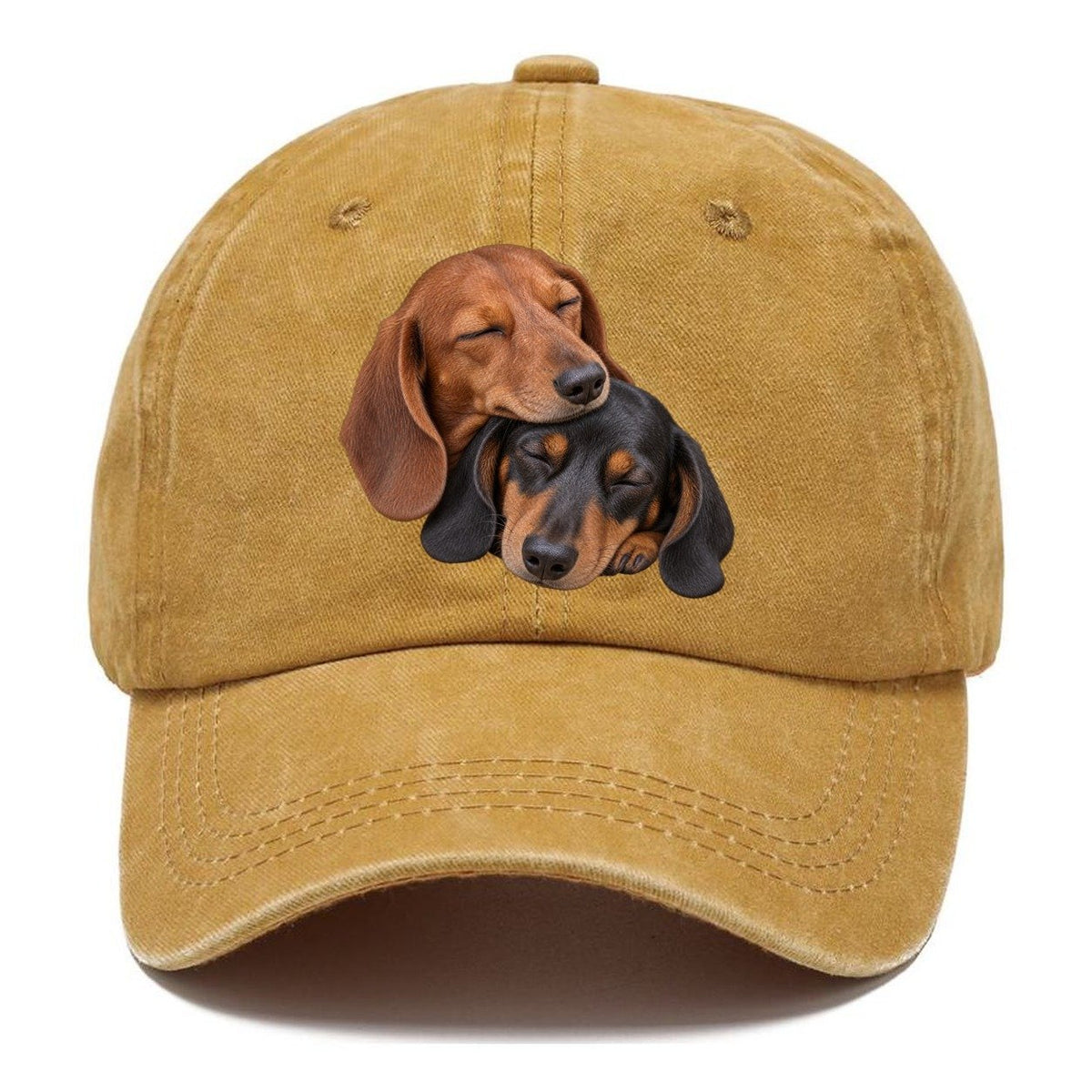 Dachshund Sleeping Pair Character Club Classic Cap – Golden Harvest