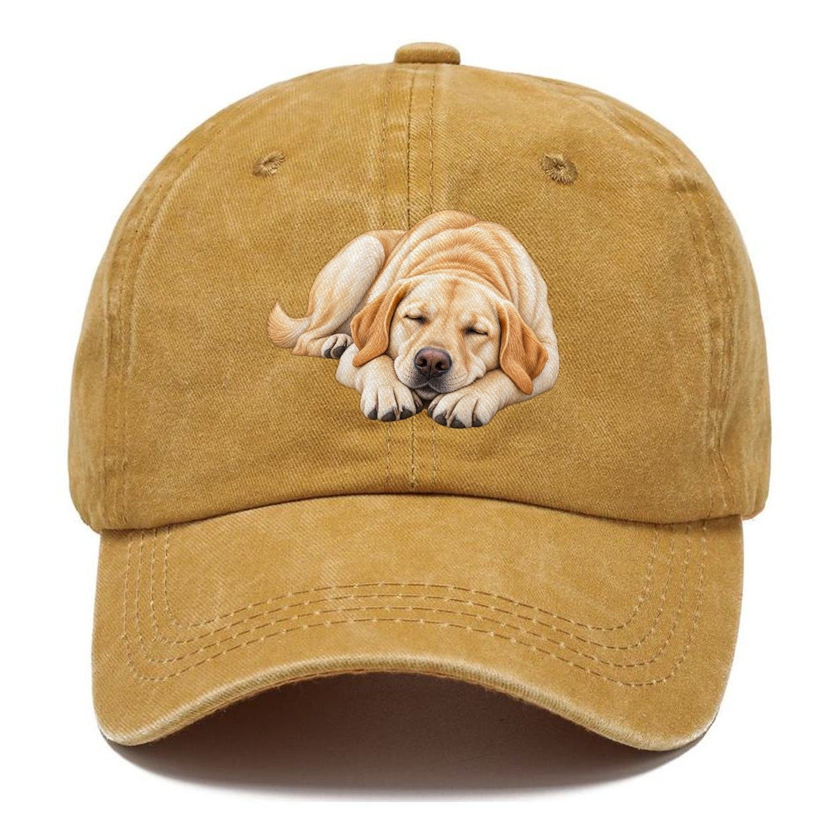 Abstract Labrador Play Bow Classic Cap – Golden Harvest