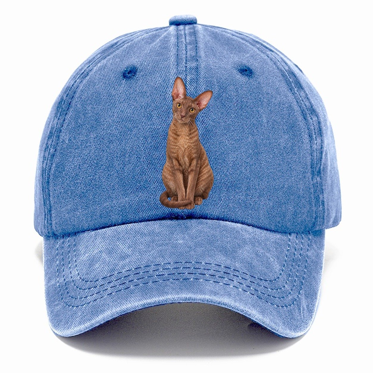Cornish Rex Seated Portrait Realistic Cat Portrait Classic Cap – Summer Sky
