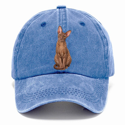 Cornish Rex Seated Portrait Realistic Cat Portrait Classic Cap – Summer Sky