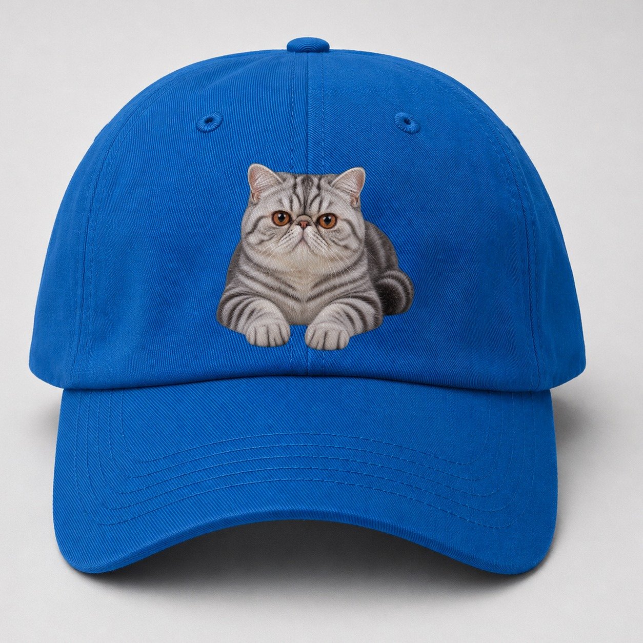 Exotic Shorthair Reclining Paws Forward Realistic Cat Portrait Baseball Cap – Blue