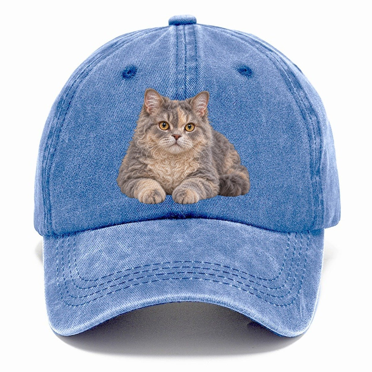 Selkirk Rex Reclining Paws Forward Realistic Cat Portrait Classic Cap – Summer Sky