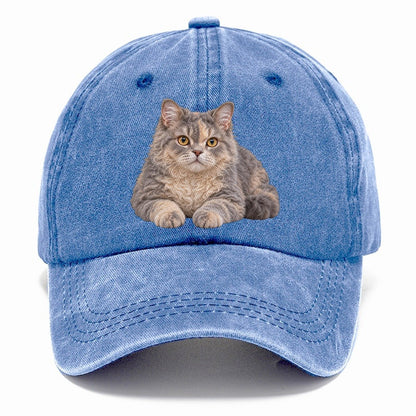 Selkirk Rex Reclining Paws Forward Realistic Cat Portrait Classic Cap – Summer Sky