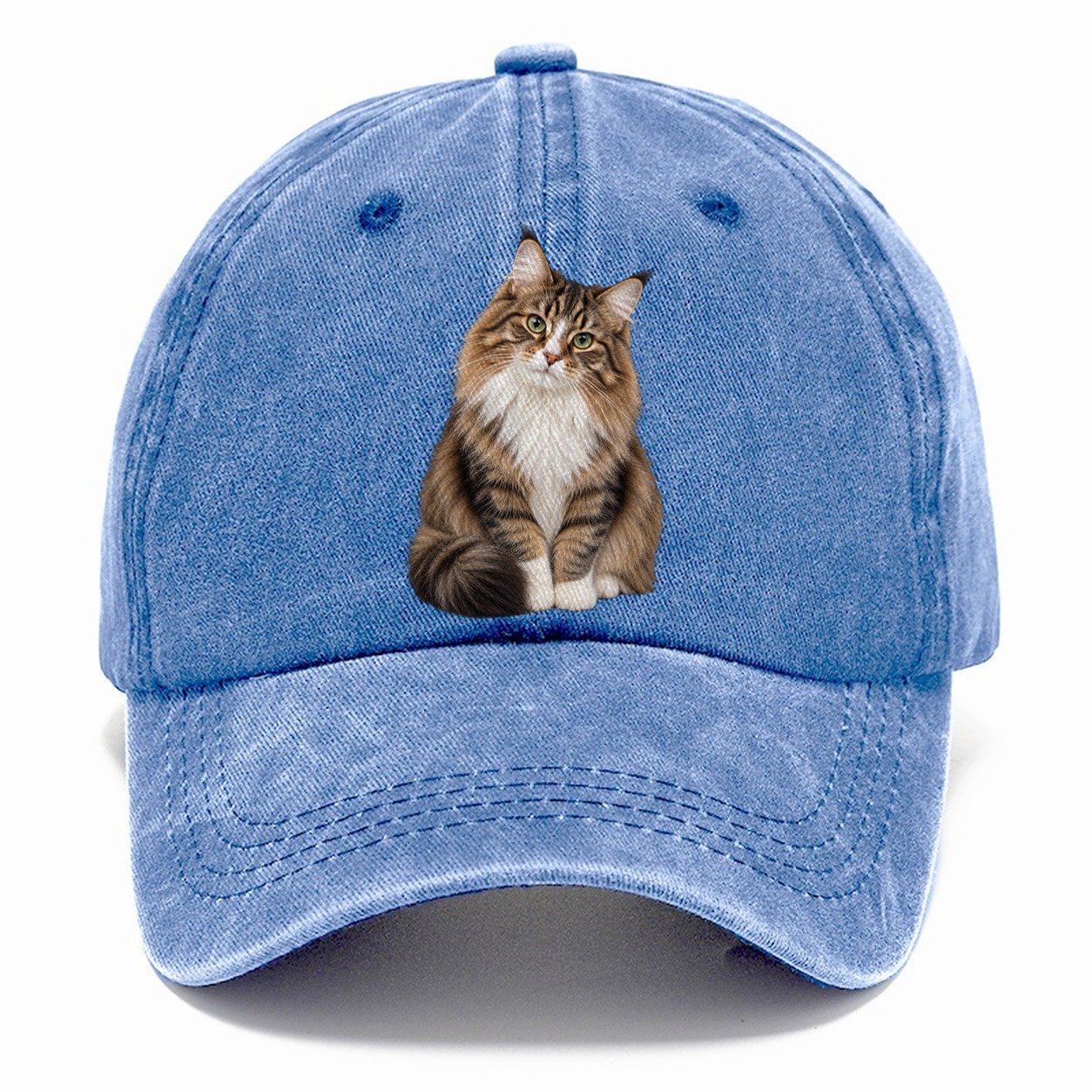 Norwegian Forest Cat Seated Portrait Realistic Cat Portrait Classic Cap – Summer Sky