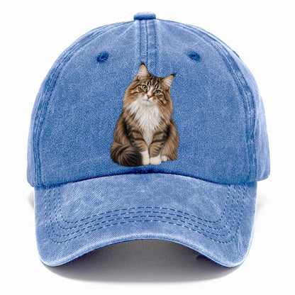 Norwegian Forest Cat Seated Portrait Realistic Cat Portrait Classic Cap – Summer Sky