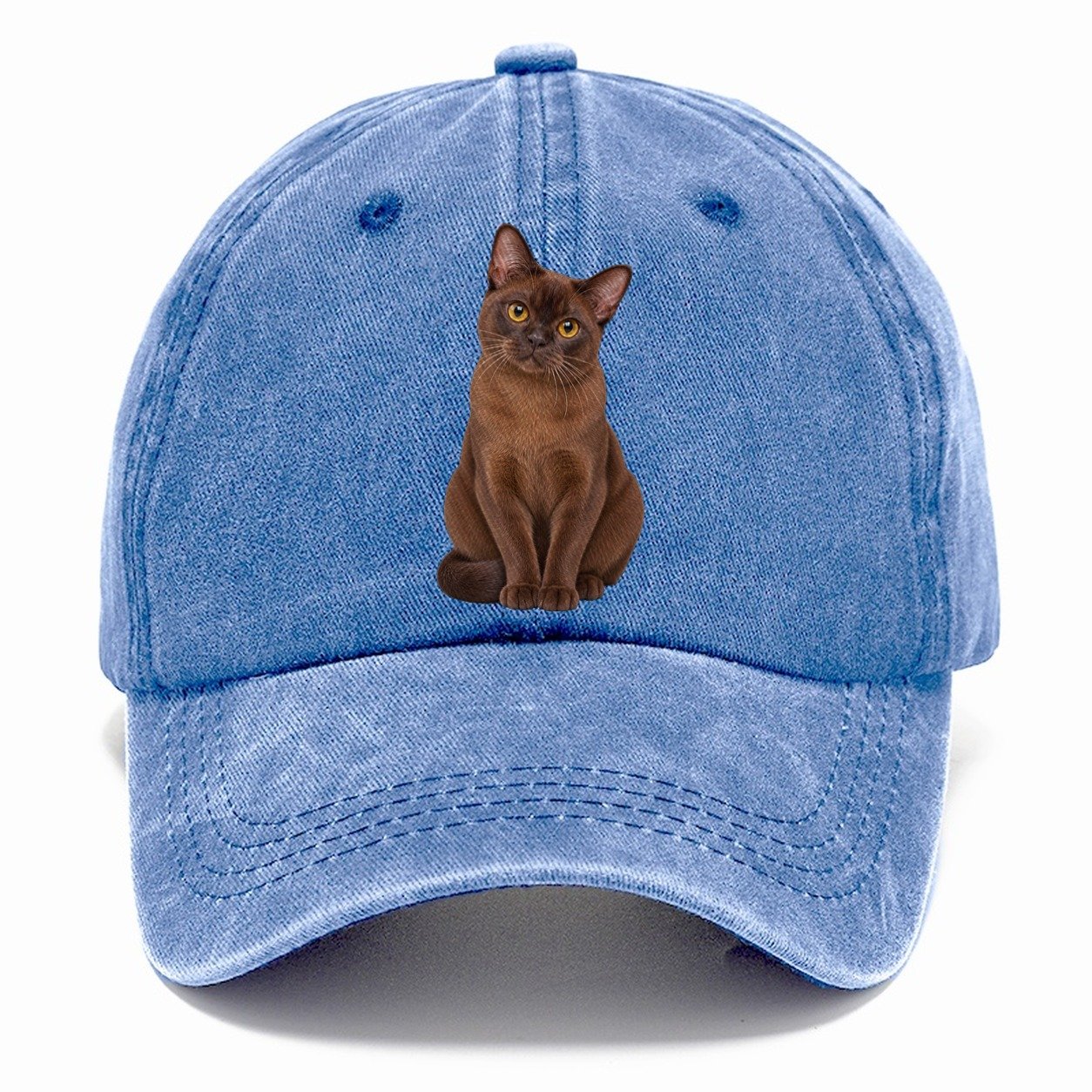 Burmese Seated Portrait Realistic Cat Portrait Classic Cap – Summer Sky