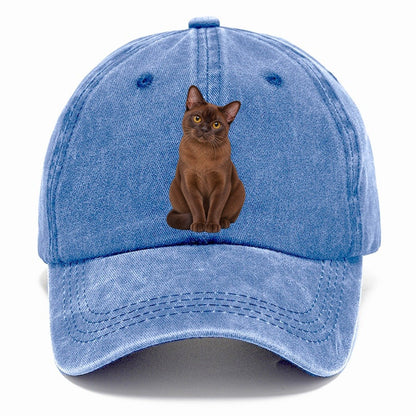 Burmese Seated Portrait Realistic Cat Portrait Classic Cap – Summer Sky
