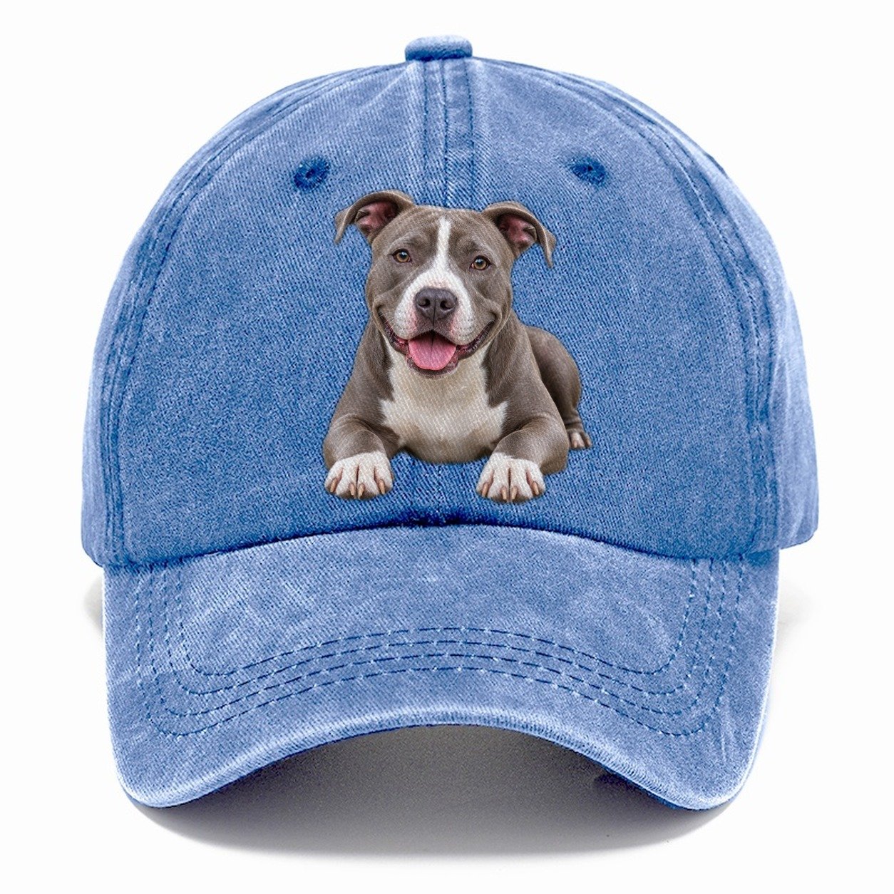Pit Bull Terrier Lying Down Top Breeds Classic Cap – Summer Sky