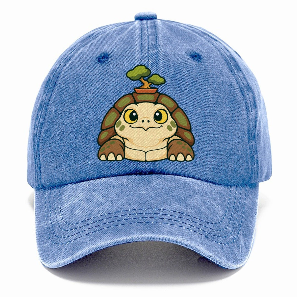 Bench Tortoise Bonsai Classic Cap – Summer Sky