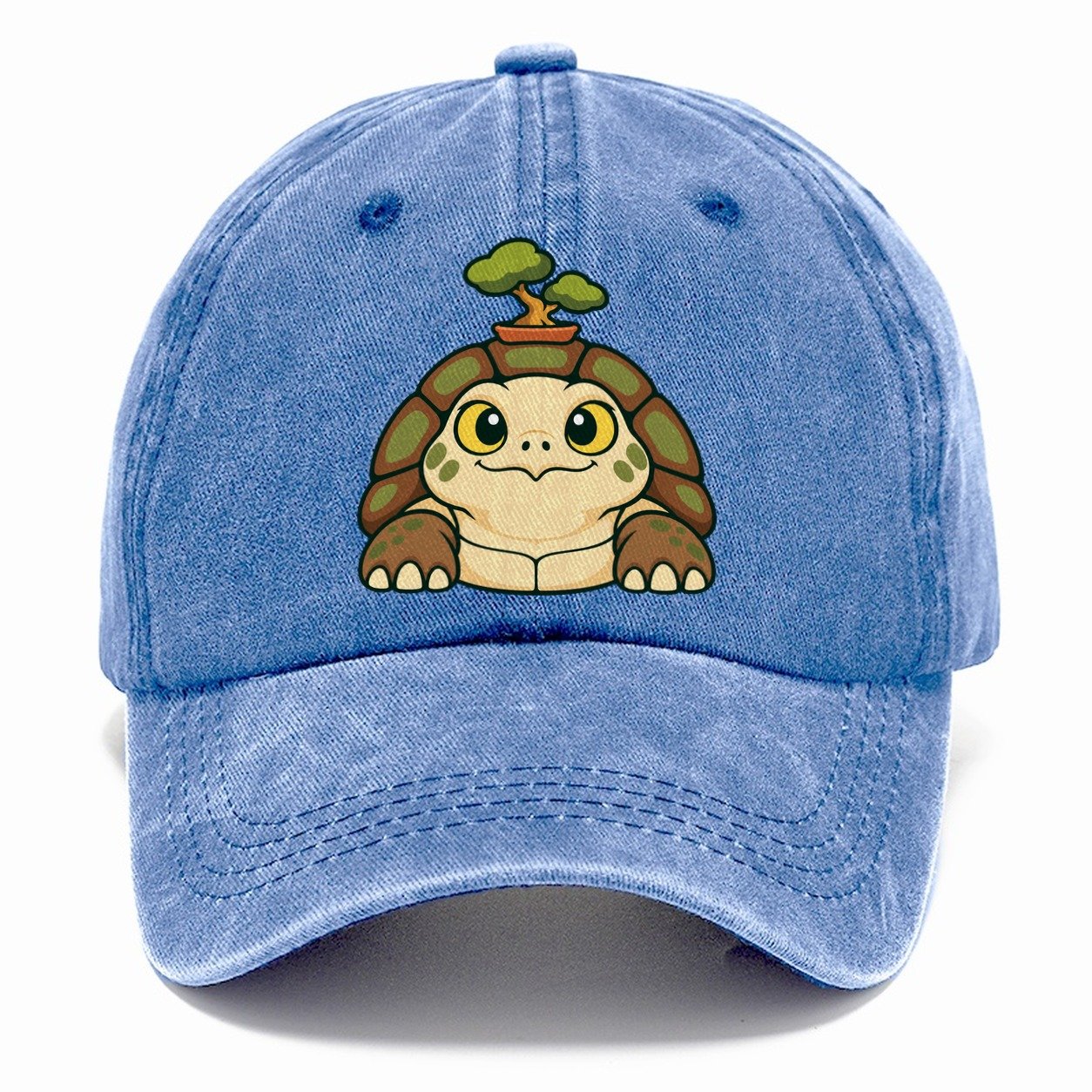 Bench Tortoise Bonsai Classic Cap – Summer Sky