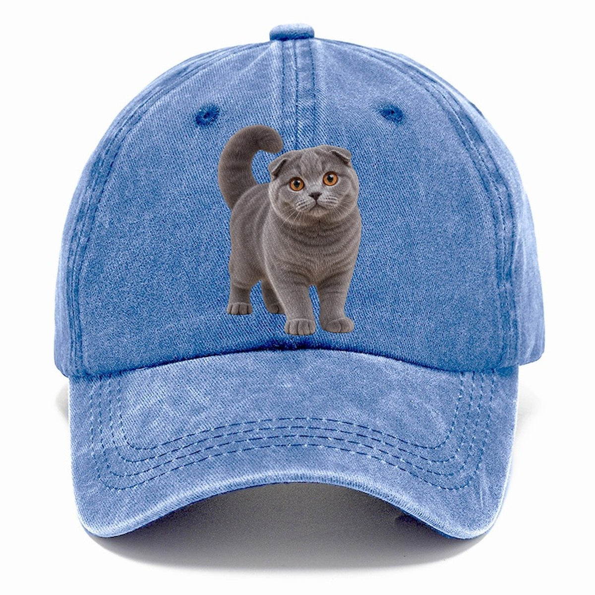 Scottish Fold Standing Three Quarter Realistic Cat Portrait Classic Cap – Summer Sky