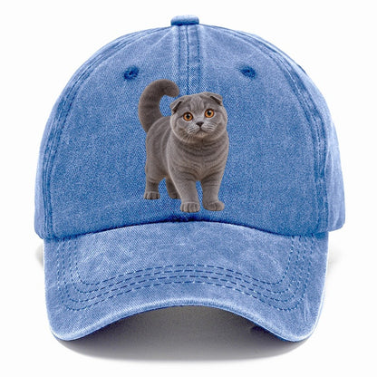 Scottish Fold Standing Three Quarter Realistic Cat Portrait Classic Cap – Summer Sky