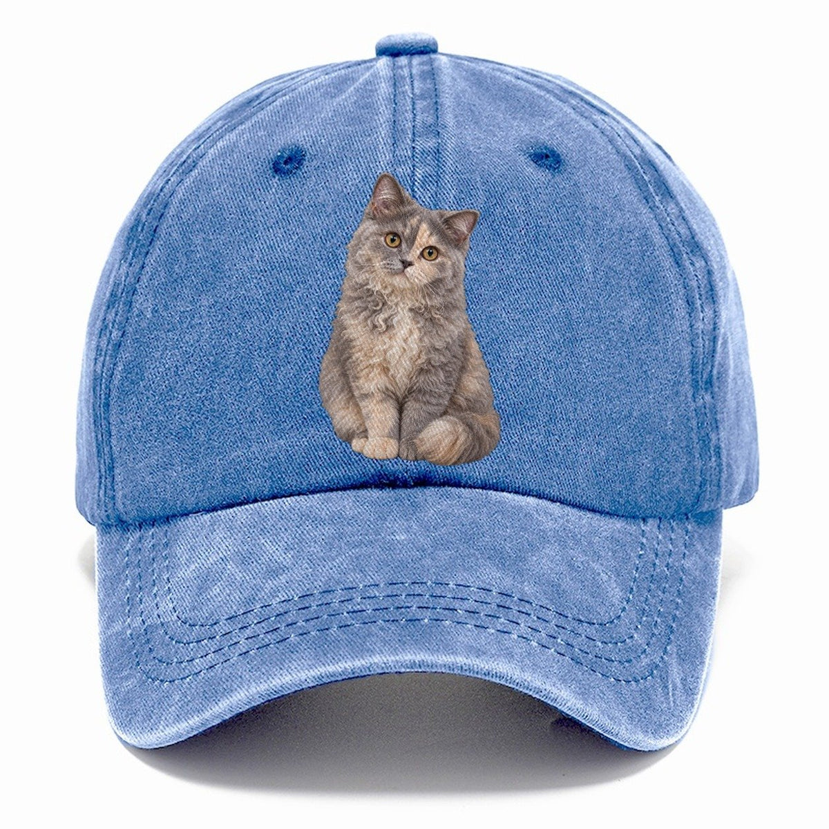 Selkirk Rex Seated Portrait Realistic Cat Portrait Classic Cap – Summer Sky