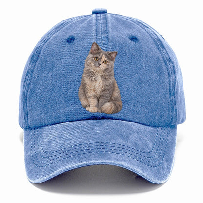 Selkirk Rex Seated Portrait Realistic Cat Portrait Classic Cap – Summer Sky
