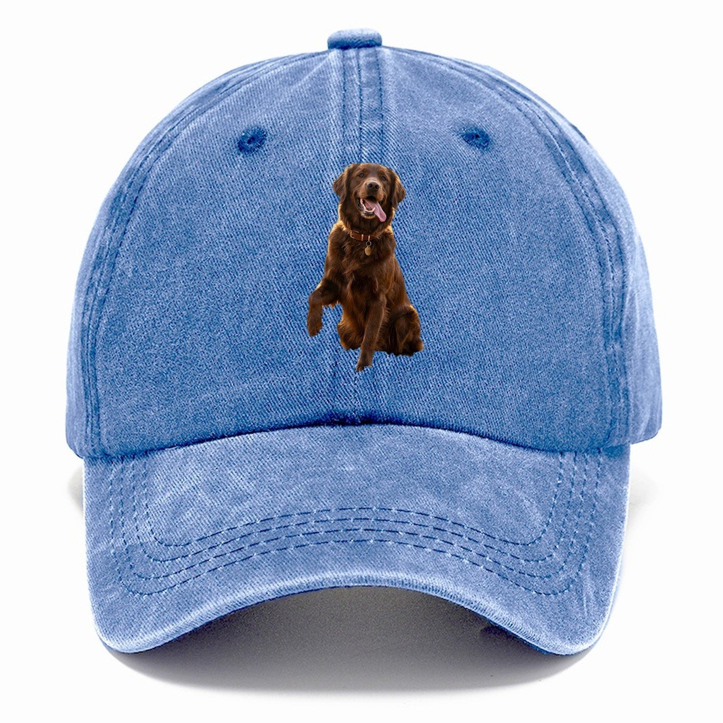 Dark Retriever Classic Cap – Summer Sky