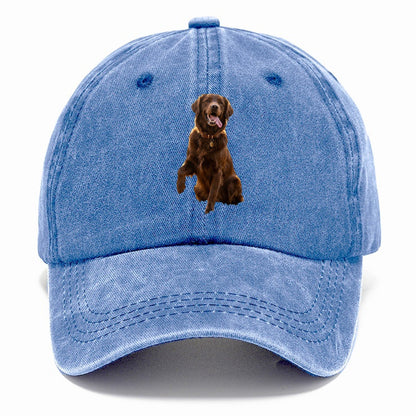 Dark Retriever Classic Cap – Summer Sky