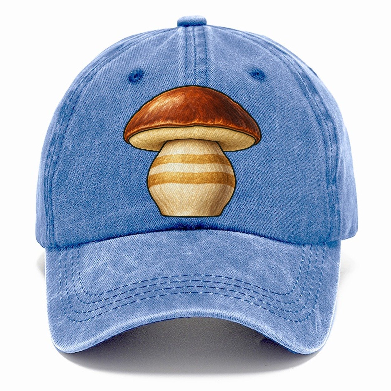 Bolete Hero Study Foraging And Mycology Classic Cap – Summer Sky