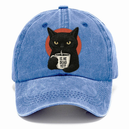 Is He Dead Yet Cat Classic Cap – Summer Sky