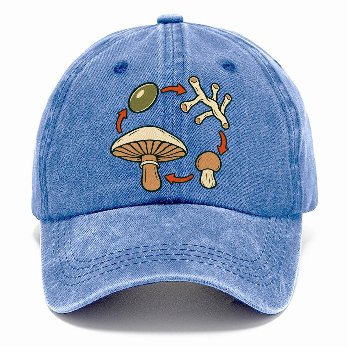 Fruiting Cycle Ring Foraging And Mycology Classic Cap – Summer Sky