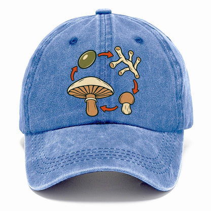 Fruiting Cycle Ring Foraging And Mycology Classic Cap – Summer Sky