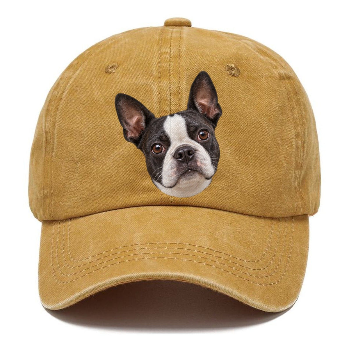 Boston Terrier Curious Lean Everyday Originals Classic Cap – Golden Harvest